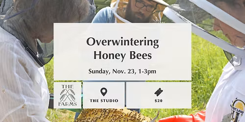 Overwintering Honey Bees