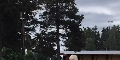 Familjedag