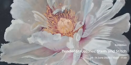 Tender Structures: Stem and Stitch