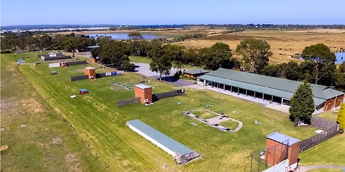 Lynne Curtis Cup - Save the Date!