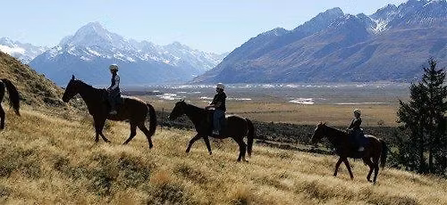 Motu Community House Horse Trek