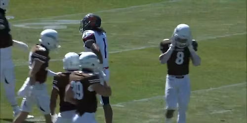 Bucknell Bison at Lehigh Mountain Hawks Football