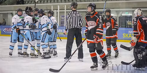 Women's Elite League Ice Hockey - Bristol Huskies Vs Solihull Vixens