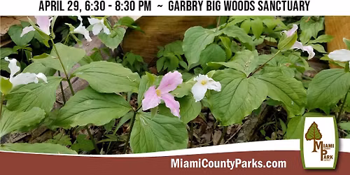 Spring Wildflower Walk