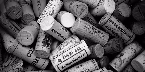 Elevated Wine Wednesday