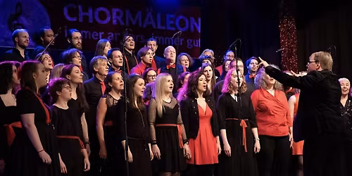 Chorm\u00e4leon in Concert