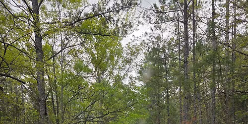 Winter Wheeling - Hot Springs Offroad Park