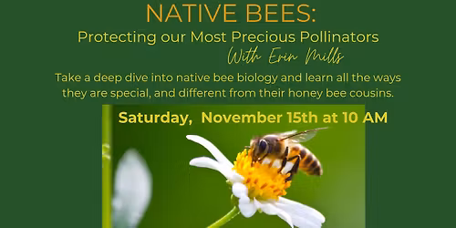 Native Bees: Protecting our Most Precious Pollinators with Erin Mills