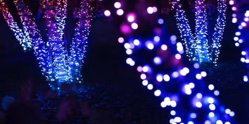 Lightscape at Chicago Botanic Garden