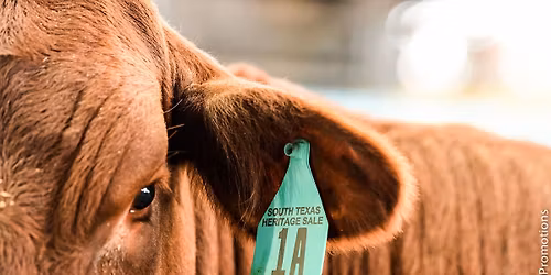 South Texas Heritage Sale