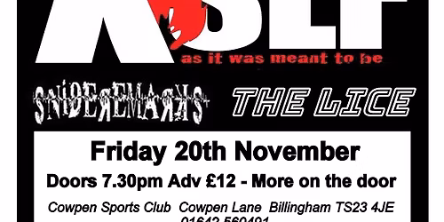 Xslf featuring Henry Cluney supports Snide Remarks and The Lice 