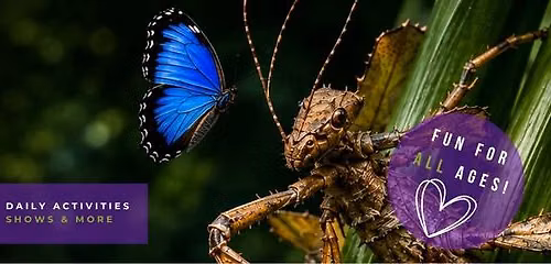 Bugs Alive Exhibition