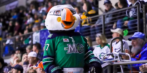 SES Night at Maine Mariners