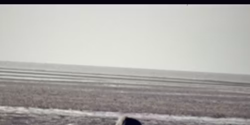 New Years Eve at the Dun Cow, Salthouse. 