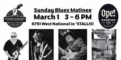 Third Coast Blues with Ivy Ford, Tom Holland and Steve Dougherty