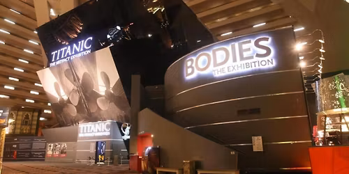 Bodies - The Exhibition - Las Vegas