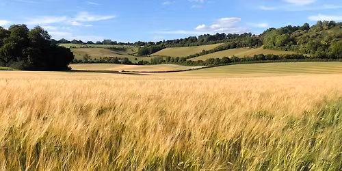 Ordinary Meeting of Radnage Parish Council 