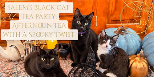 Trick or Treat Costume Afternoon Tea Party