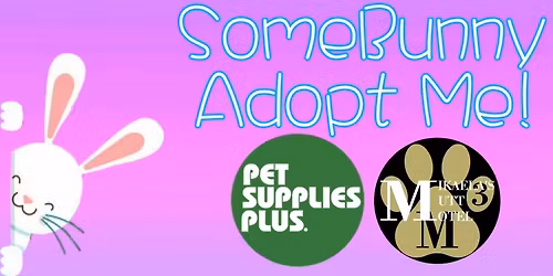 SomeBunny Adopt Me!
