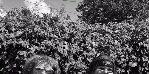 Driftwood Inn Acoustic Open Mic! Soul Collision hosting