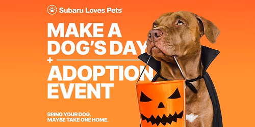 Make a Dog's Day at Walser Subaru St. Paul