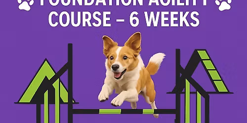 Foundation Agility