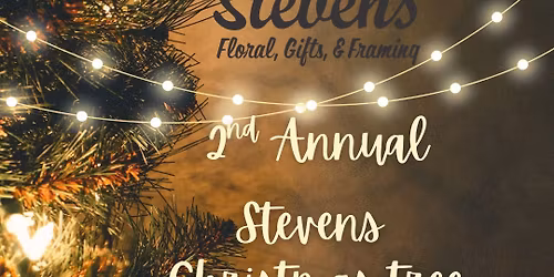 2nd Annual Christmas Tree Showdown