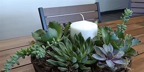 Succulent Centerpiece Workshop
