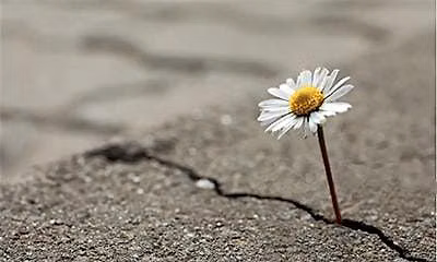 Stress Resilience Course (5 sessions)