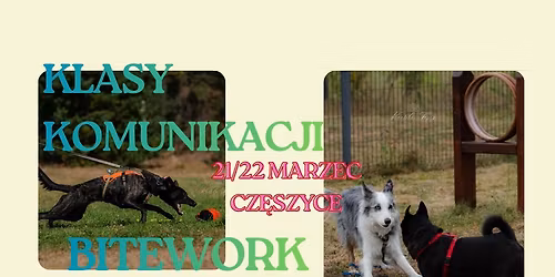 Klasy komunikacji i Bitework ze Spacedogs