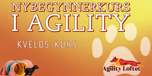 Nybegynnerkurs i agility, kveldskurs