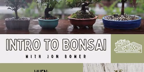 Introduction to Bonsai