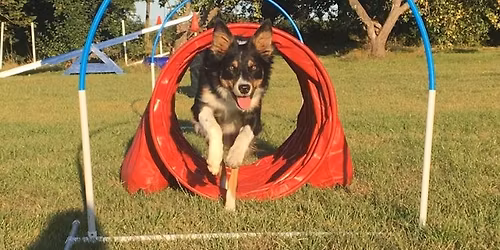 UDSOLGT DM kvalificerende dobbelt rally pr\u00f8ve - DKK godkendt Titel, Stevns Vinder 2026