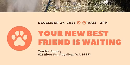 Meet and Greet Puppies and Dogs - Puyallup