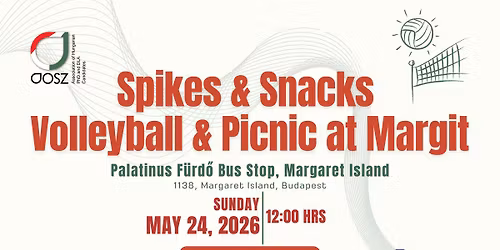 Spikes and Snacks: Volleyball & Picnic at Margit