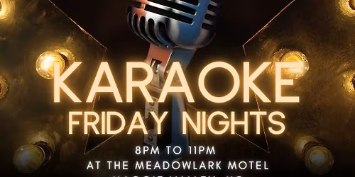 Krazy Karaoke Every Friday Night 8PM to 11PM at the Meadowlark Motel Speakeasy!