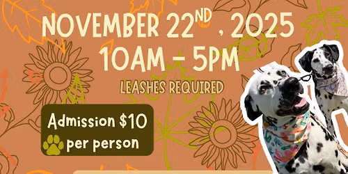 Fall Dog Day at The Bryer Patch