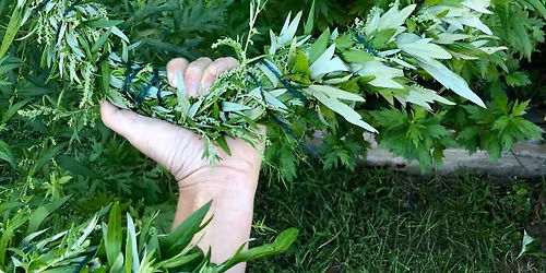 Enter the Mugwort Portal 
