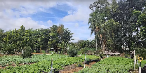 From Stress to Stillness: Half Day Wellness Retreat