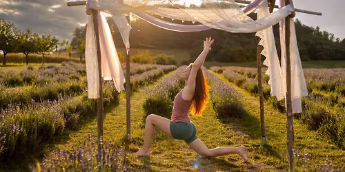 J\u00f3ga v Levandulov\u00e9m poli v Bezd\u011bkov\u011b