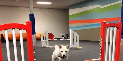 Get Ready to Trial in Agility: A seminar