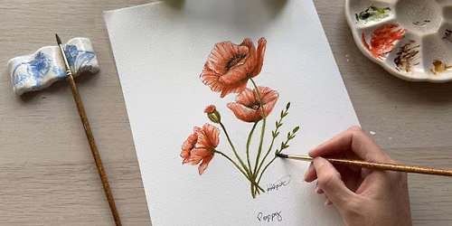 Botanical Watercolour for Beginners - Poppy Flower