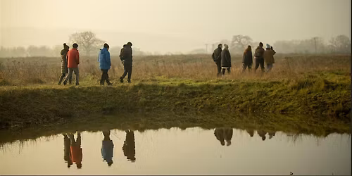 Adults-Only Nature Connection Session Wednesday 22nd October  2025