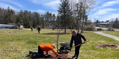 DTE Hickory Meadows Arbor Day Planting Workbee