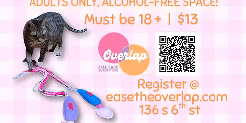 DIY Meowgic Wand Cat Toy!