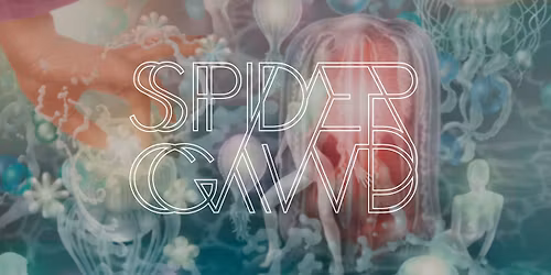 Spidergawd på Havna Scene