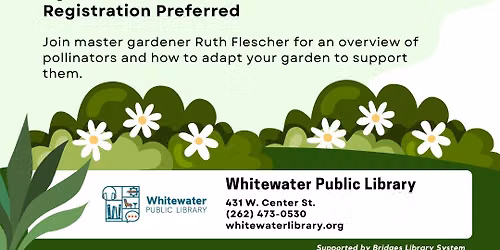 Pollinators and Your Garden