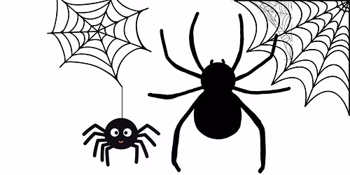 Drawing  Spiders and Webs Art Class for Kids of Ages 5 - 13 years old