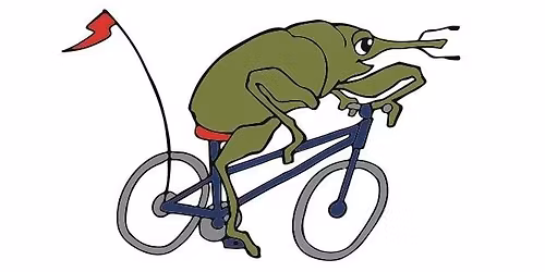 Boll Weevil 100 Annual Bike Ride