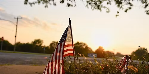 Investor Discovery Experience